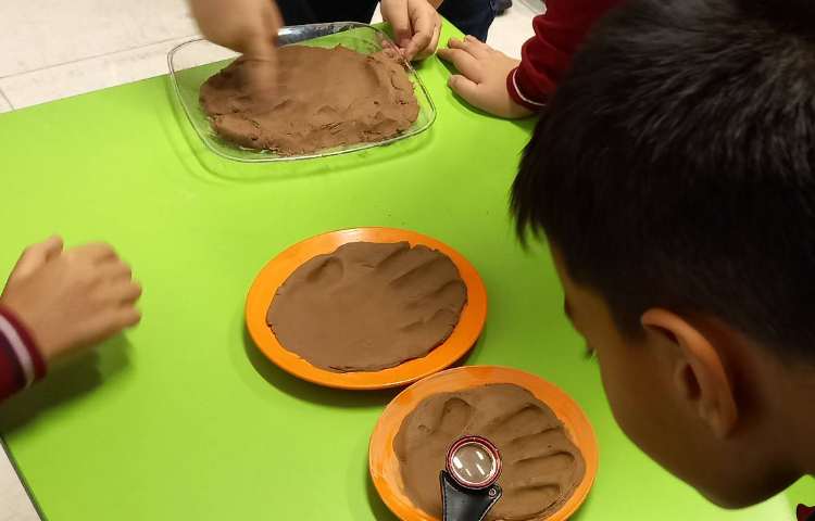 علوم - کاوشگری 4