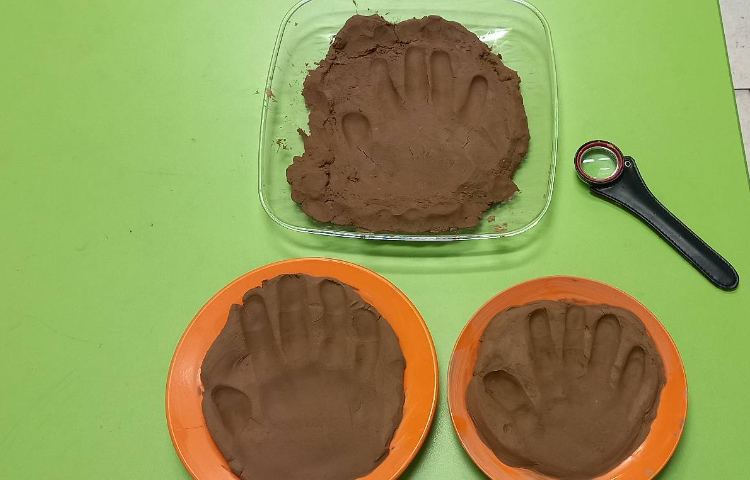 علوم - کاوشگری 7