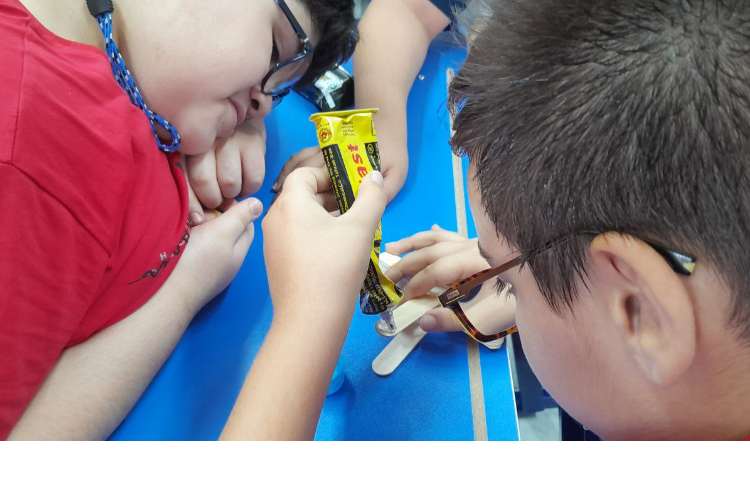 علوم کلاس ششم 2 3