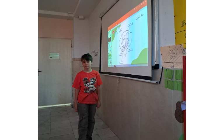 علوم گیاهان تک لپه و دو لپه 1