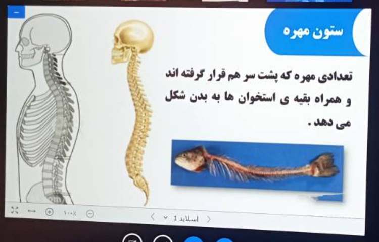 علوم 1