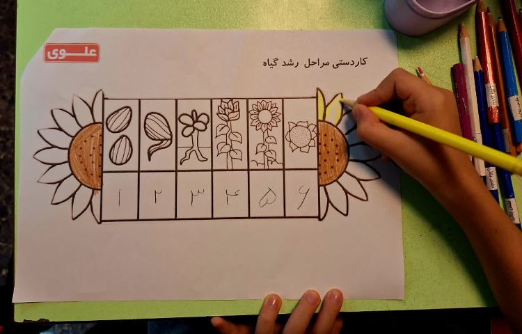 علوم 1