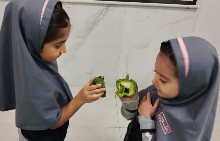 علوم 1
