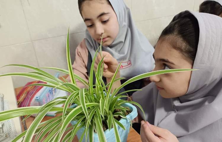علوم 2