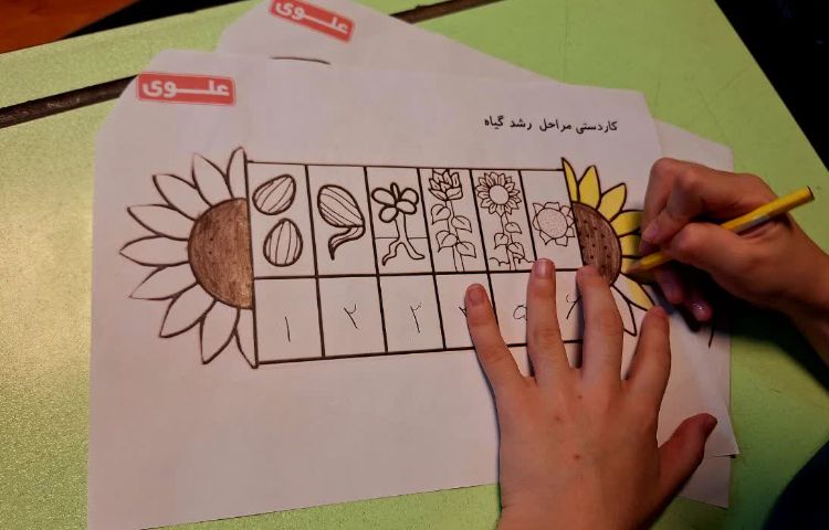 علوم 2