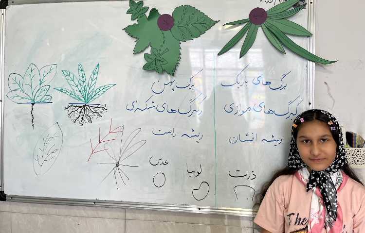 علوم 2