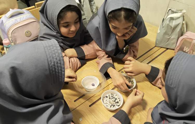 علوم 3