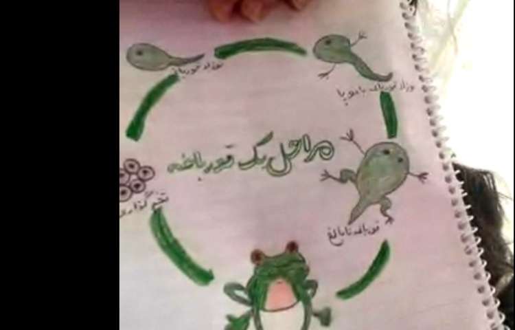 علوم 3