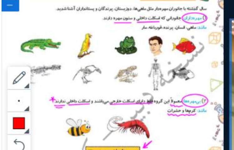 علوم 3