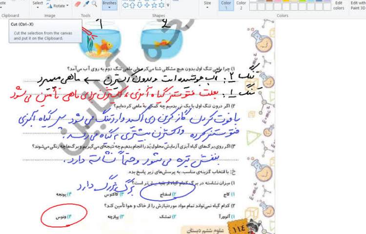 علوم 3