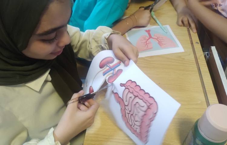 علوم 3
