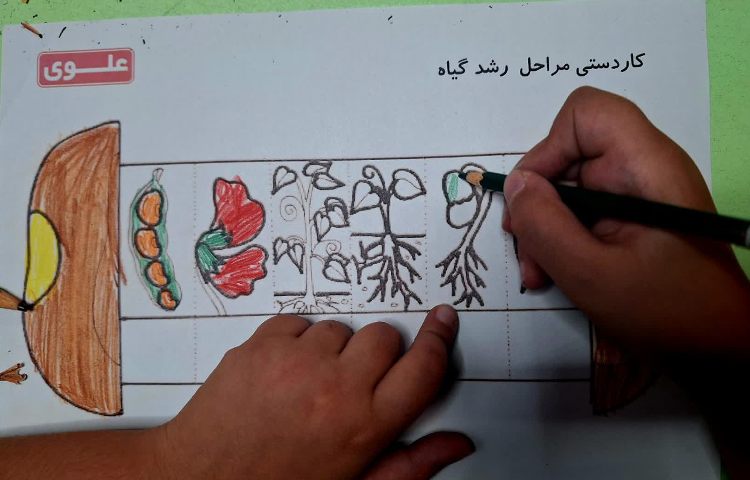 علوم 3