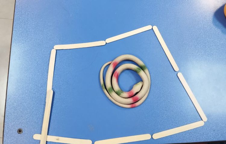 علوم 3