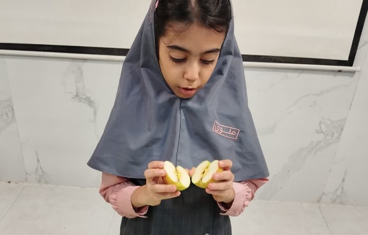 علوم 3