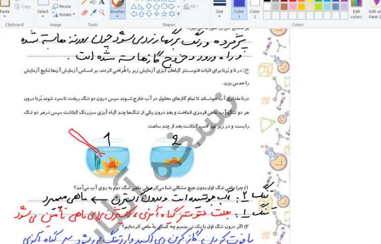 علوم 4