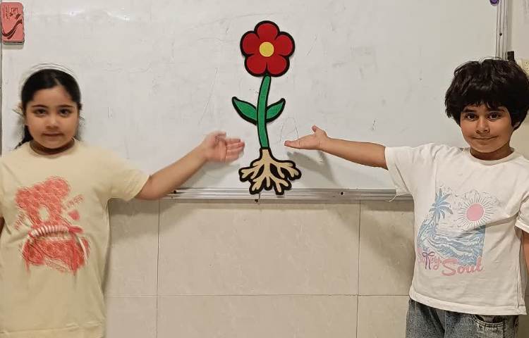 علوم 4