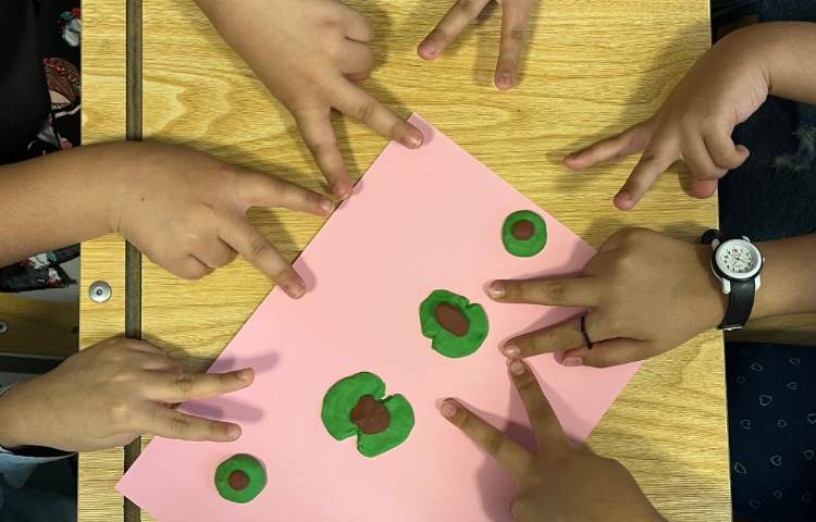 علوم 4