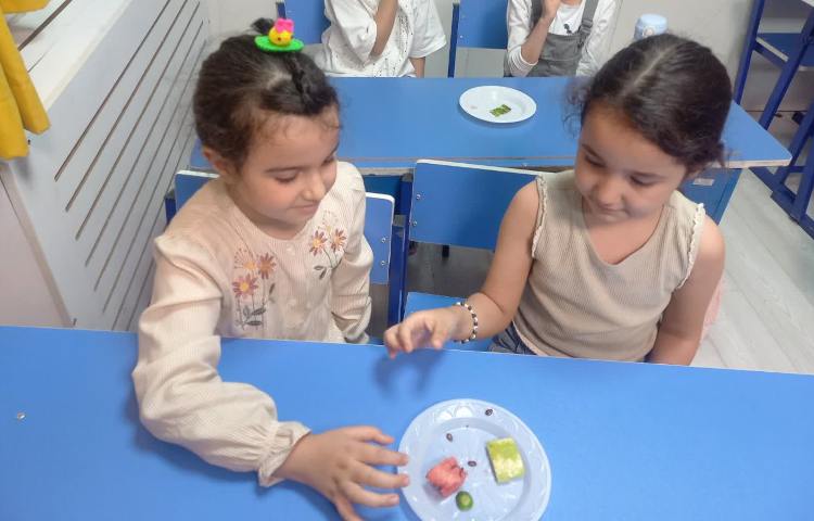 علوم 4