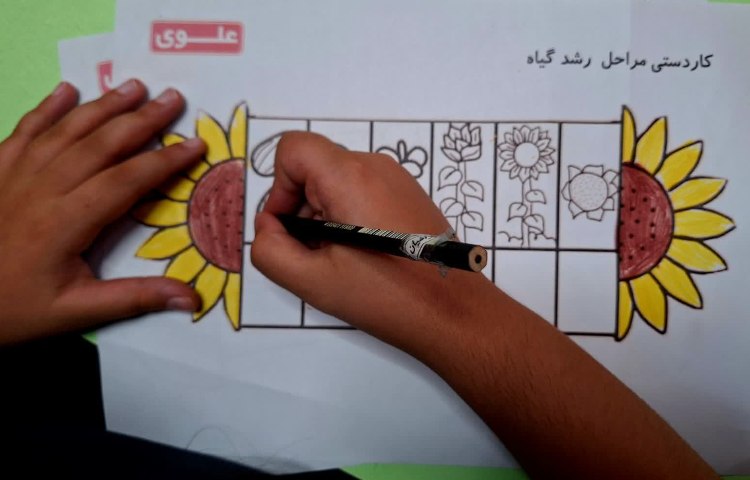 علوم 4