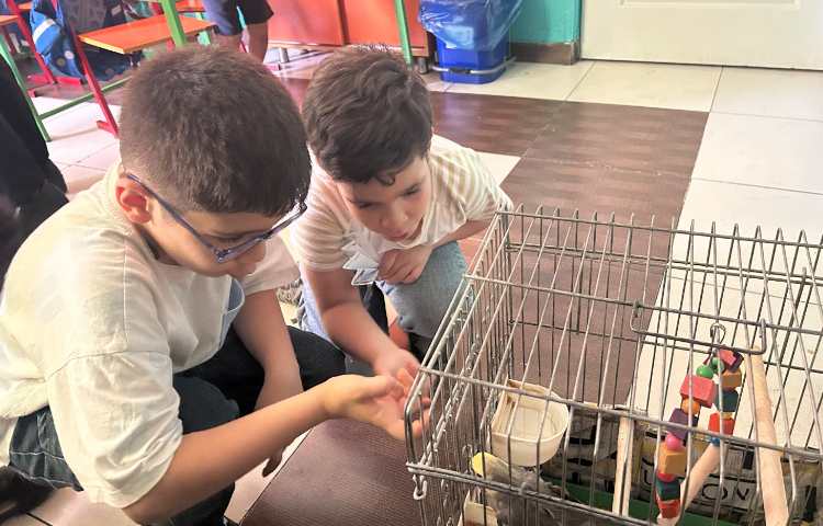 علوم 4