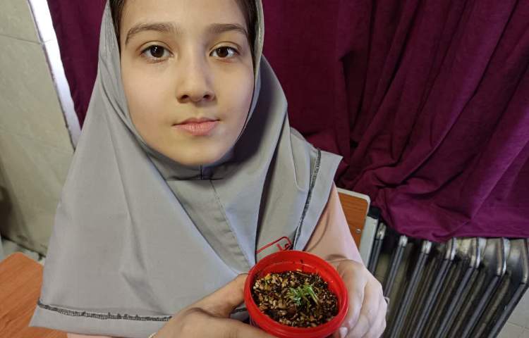 علوم 5