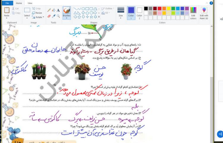 علوم 5