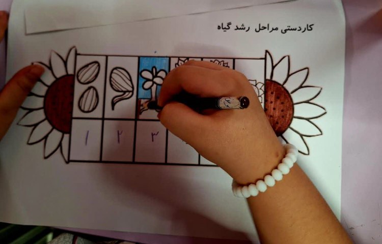 علوم 5