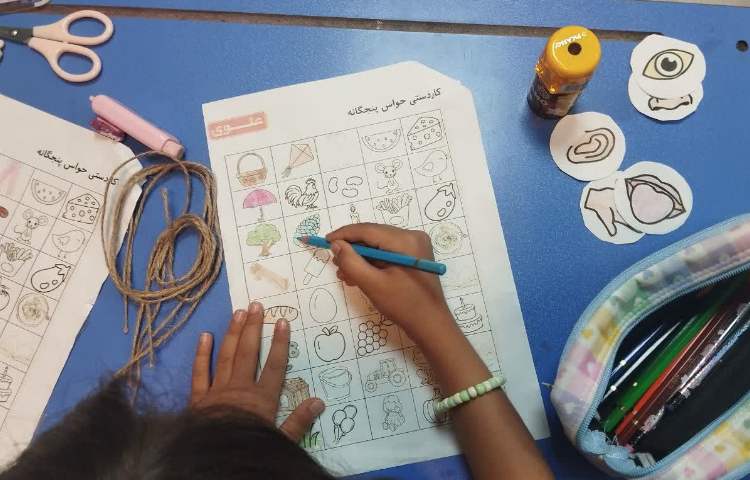 علوم 5