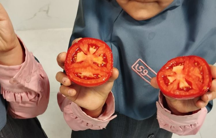 علوم 5