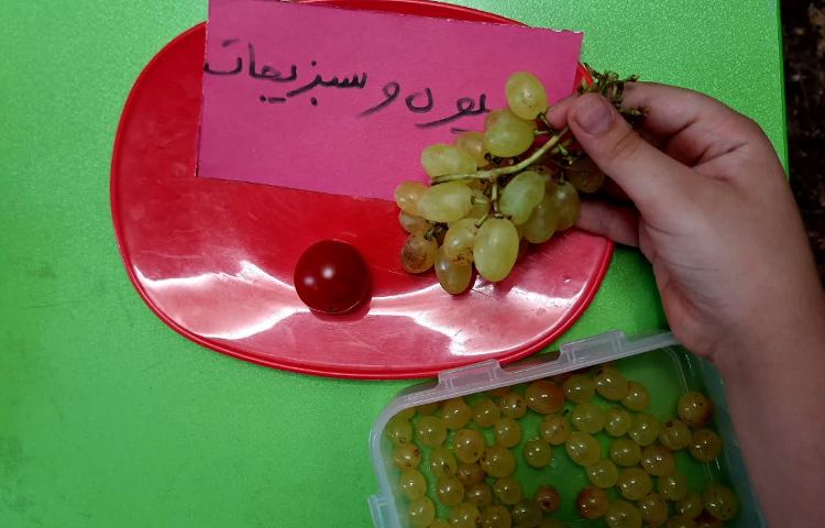 علوم 5