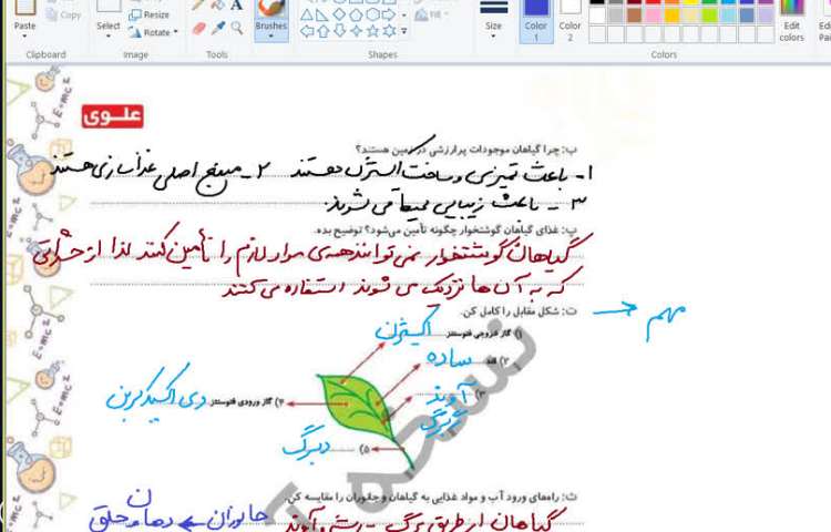 علوم 6