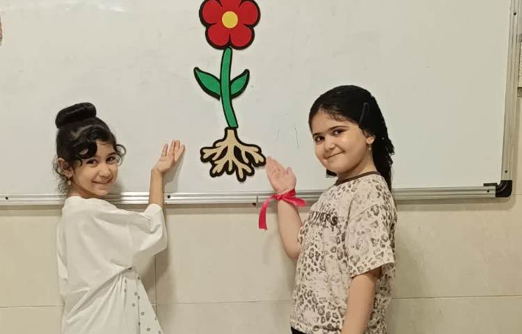 علوم 6