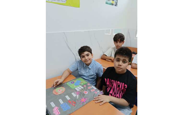 علوم 6