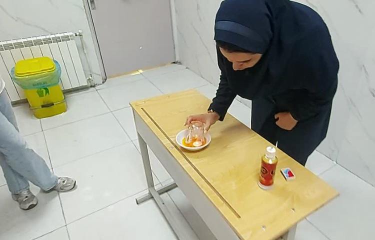 علوم 6