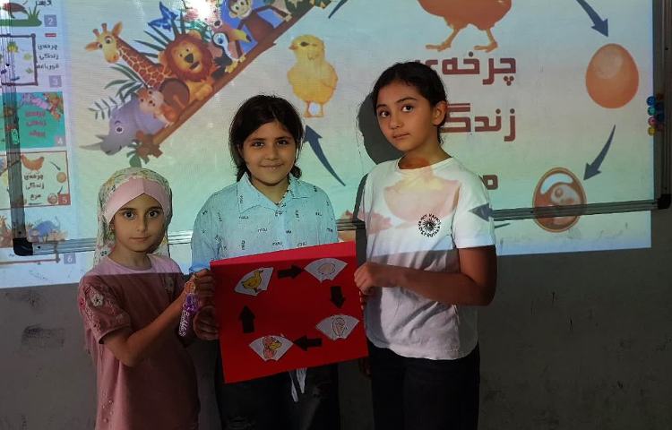 علوم 6