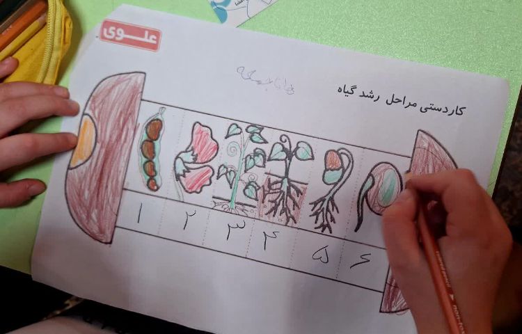 علوم 6