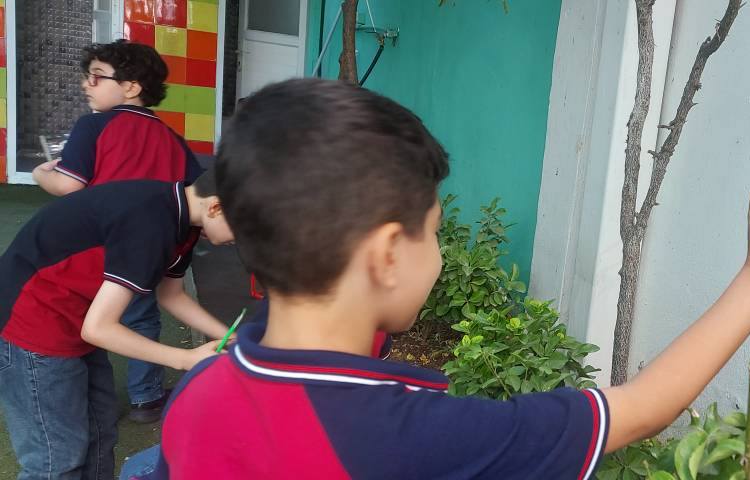 علوم 6