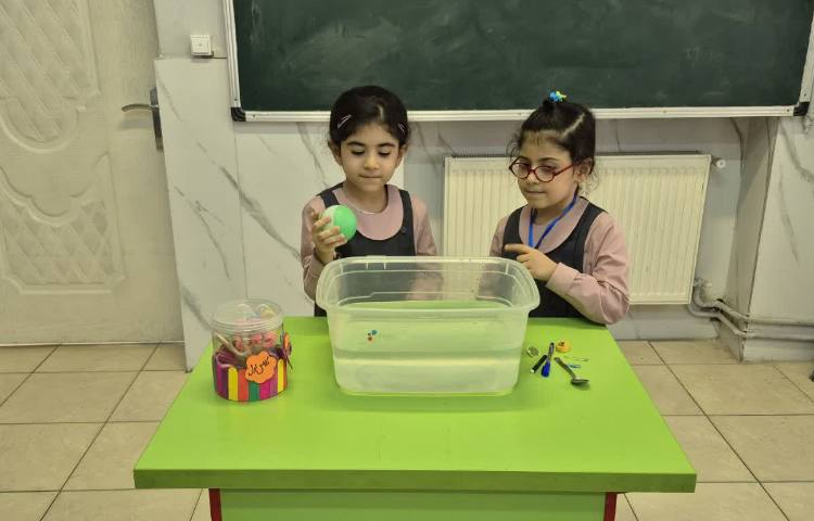 علوم 6
