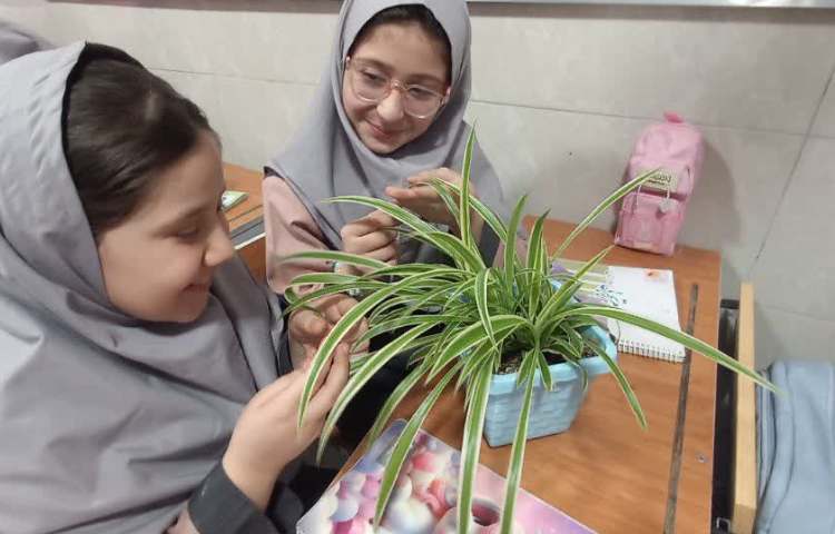 علوم 7