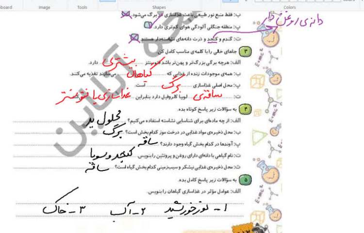 علوم 7