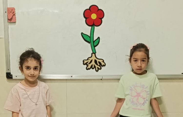 علوم 7