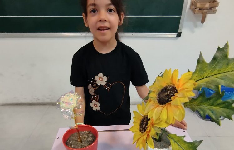 علوم 7