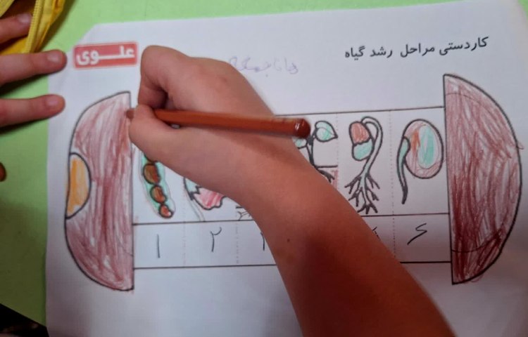 علوم 7