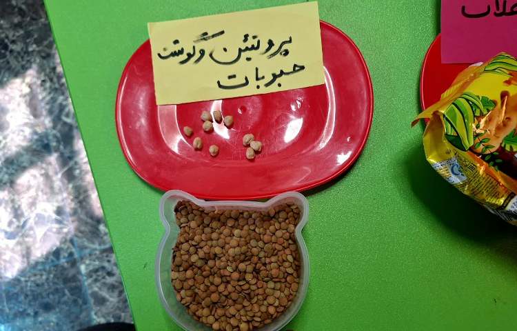 علوم 7