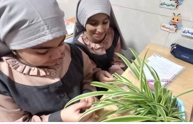 علوم 8