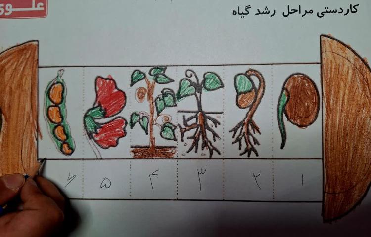 علوم 8