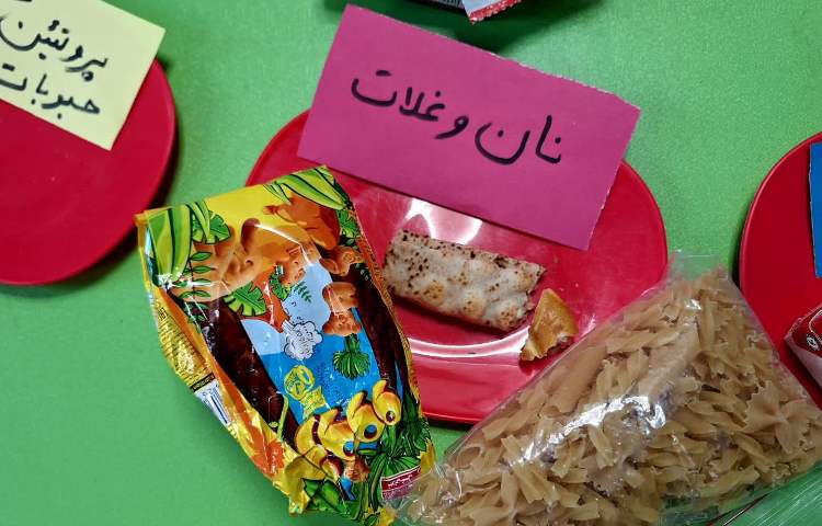 علوم 8