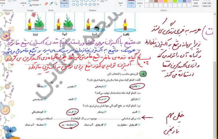 علوم 9