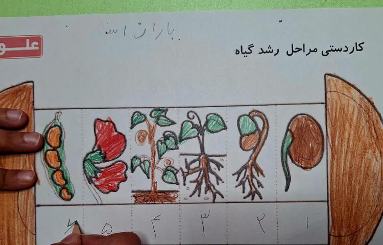 علوم 9