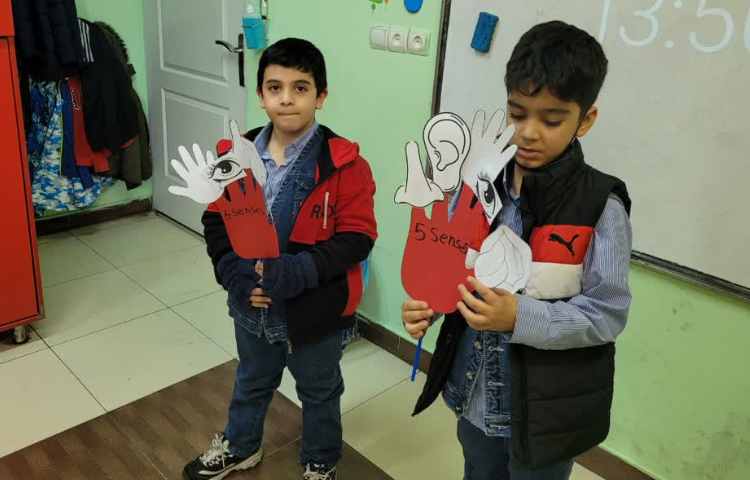 علوم Five senses